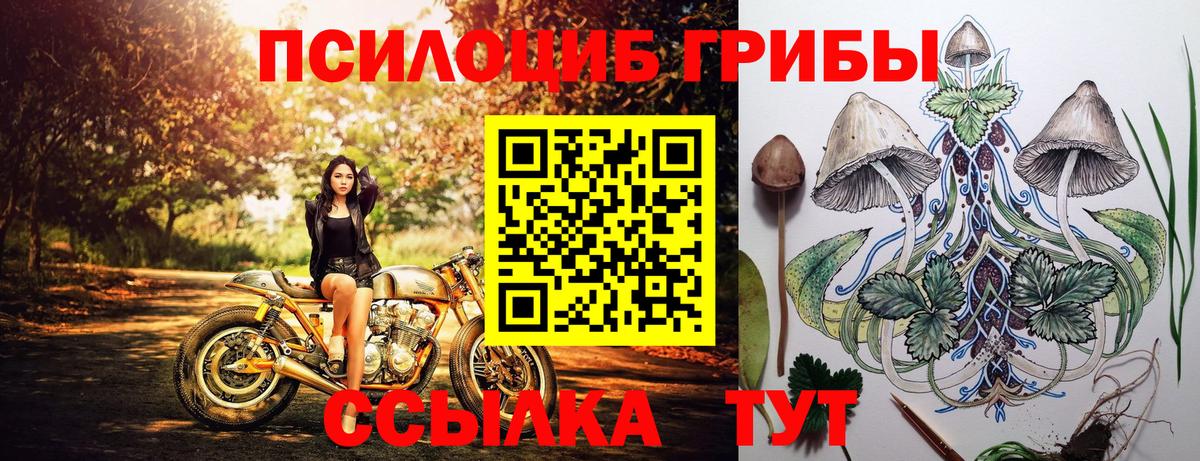 Чебоксары  Галлюциногенные грибы Psilocybe  Вход с VPN 